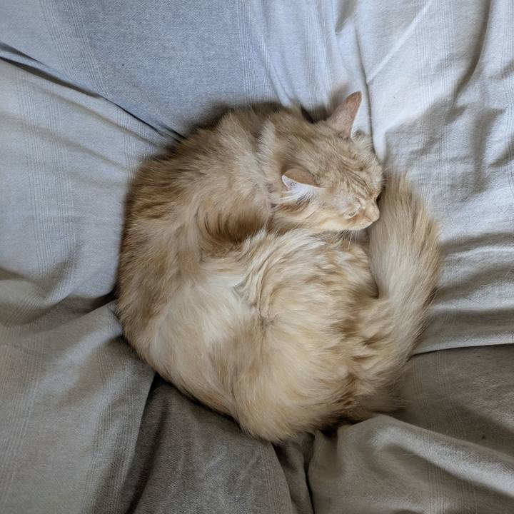 E51679f0 fa5b 4d11 a113 2c969eced336 1762039884892