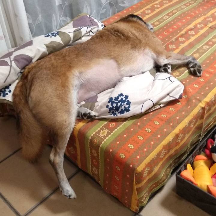 E5169ddd 3d81 4abe 94b3 7e2da4bfd58f 1572362369657