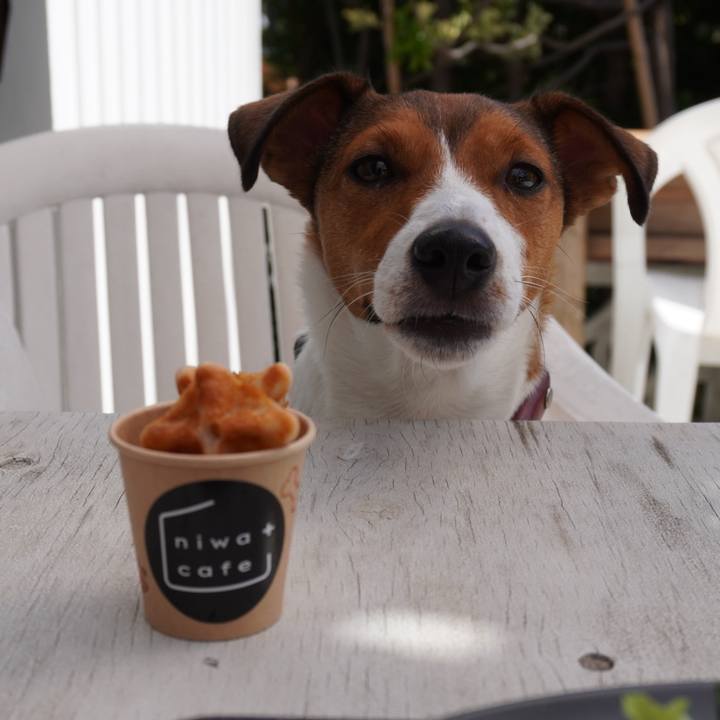 E516ad94 05cd 4c7a 94da 1b553c1f6341 1760787557846