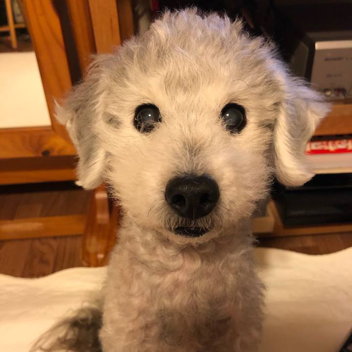 E516cbda 3fd6 467c bbc0 0491375c3115 1590837532390