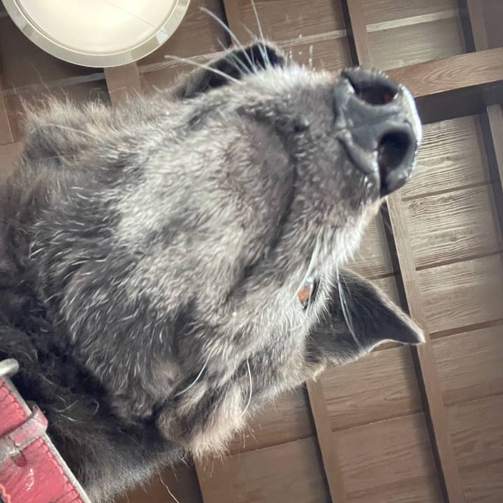 E516ed56 1b25 4106 8802 d09297d53ecf 1686613938904