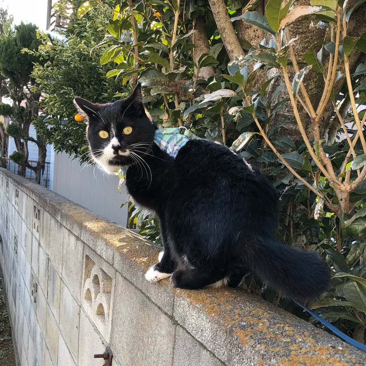 E516f380 9b4c 45e1 98e2 bbed04924b91 1517456969490