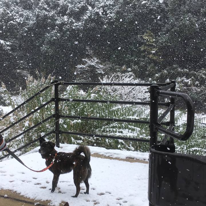 E516f89c 98c2 45a0 9ca3 d460be97ebfd 1515646358022