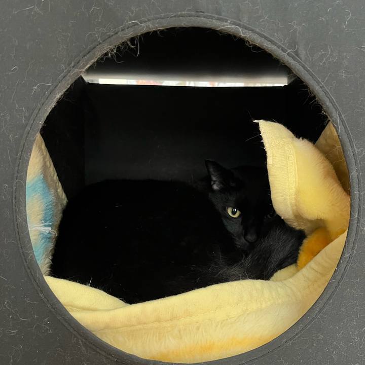 E5170186 da49 4e82 ab6d aa511c23a43e 1665281748430