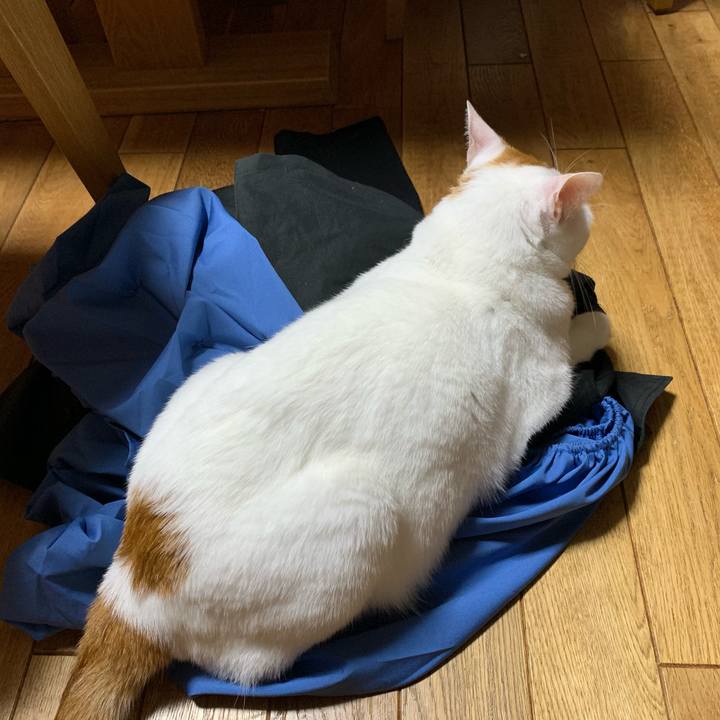 E5171e4d 607c 48d9 92ad b7f91deb56a9 1605445408276