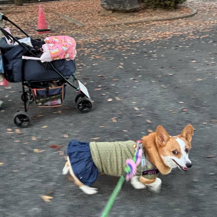 E5172098 b1d8 4438 a124 2aa76241f365 1763980570973