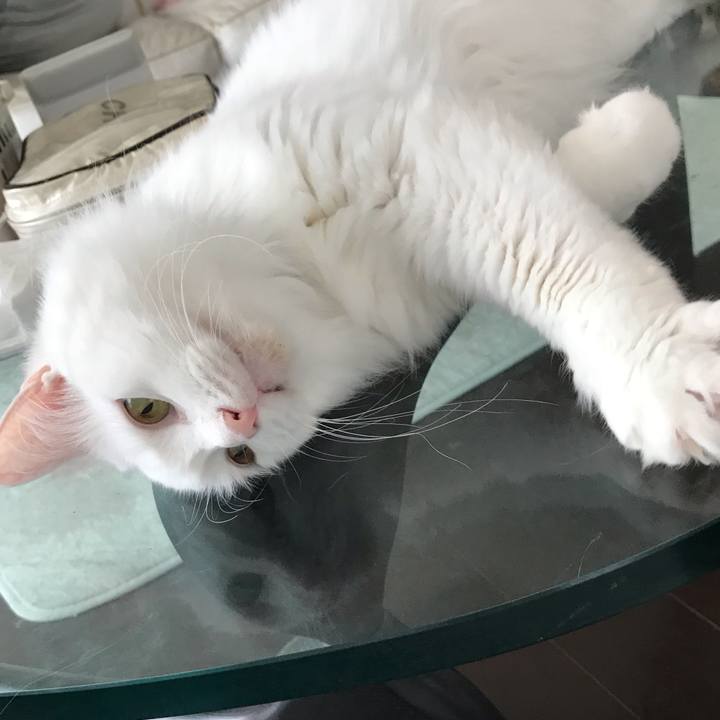 E5176bb9 d75b 4745 ba83 20f9e1a81245 1563496735197