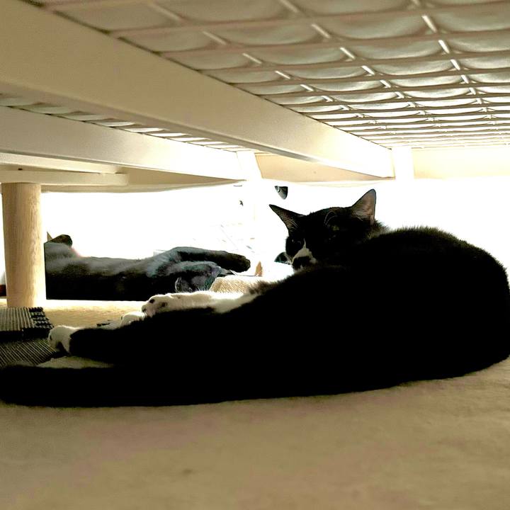 E5179d2d bf82 44b0 b0c5 1382c8e9f7dd 1726528348889