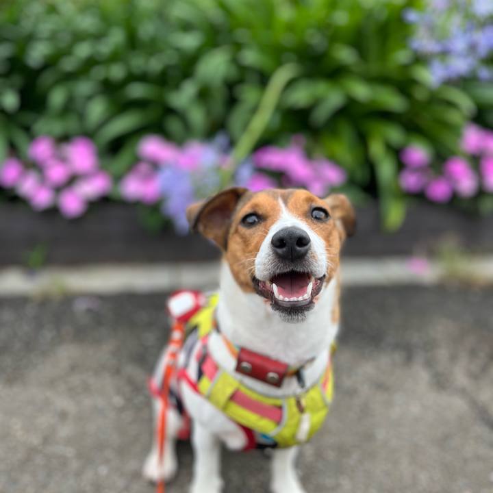 E517aae4 b43f 4084 96db fc11fcba818a 1719126227431