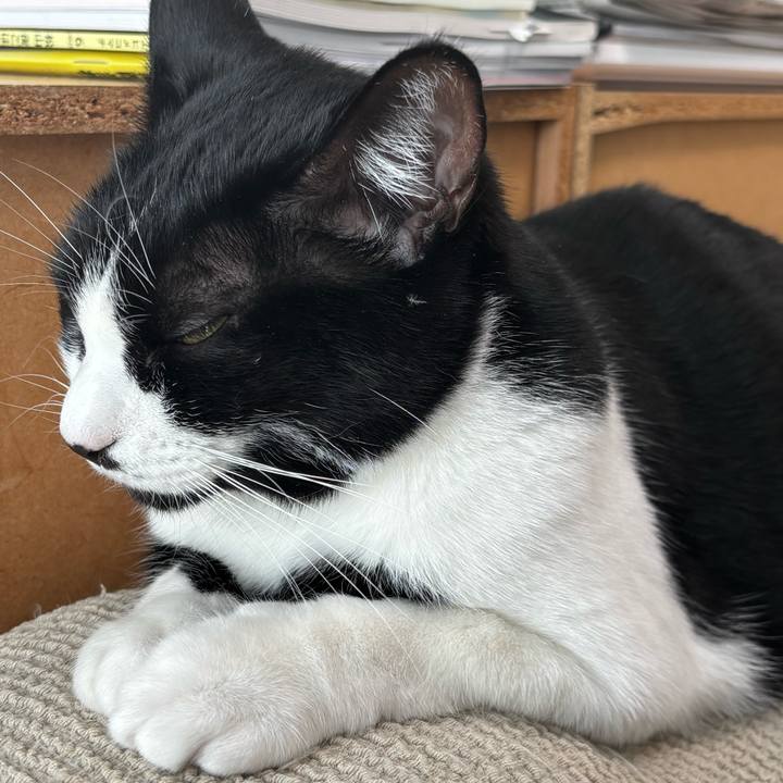 E517b551 b658 428f 8c99 655ba110d045 1769917386556