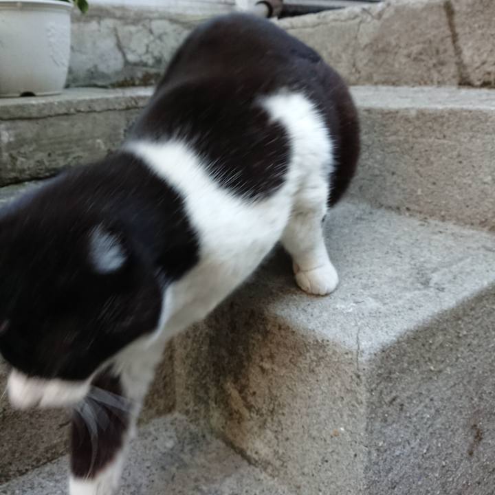 E517daf7 b76e 4d41 9097 0ada25a4e492 1644389200359