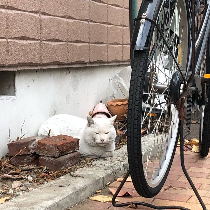 E5182f4e 9175 4392 a1a0 47758458baa9 1607479781017