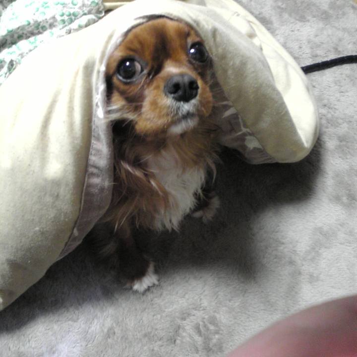 E5185911 7171 45cb 952d f713d02ab651 1513416787075