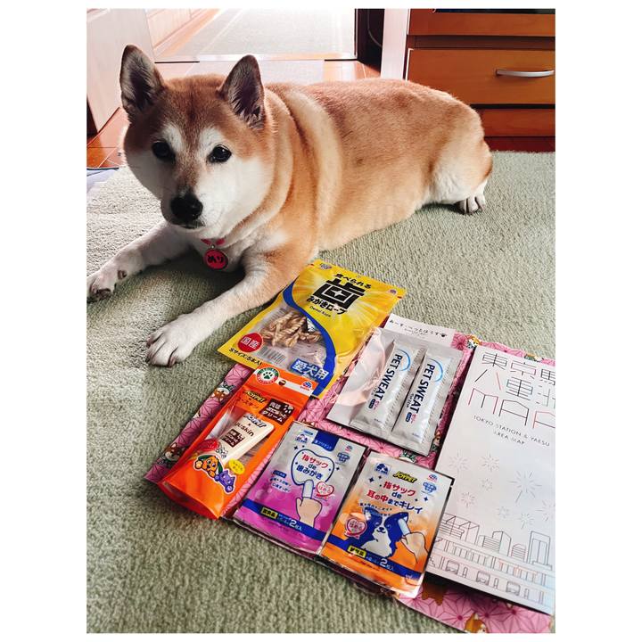 E51869c1 97ad 489f 95e6 95eeecda7167 1699859776085