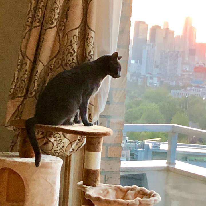 E5187049 4a61 444e bf87 8da25f15c1d6 1571291960552