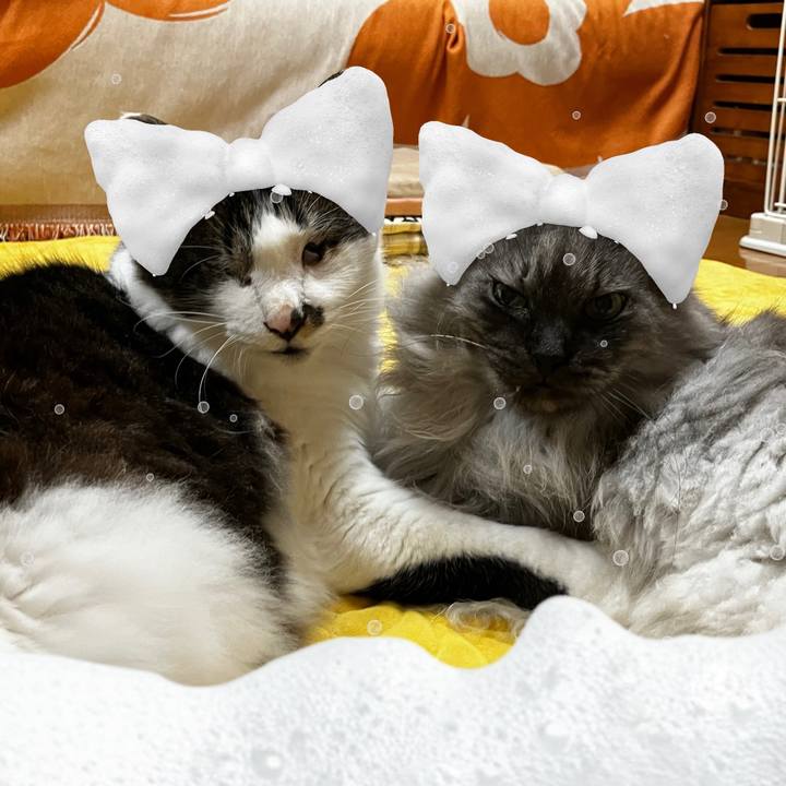 E5188dcc 817b 421a 8d52 5fe5a2643d46 1724199370098