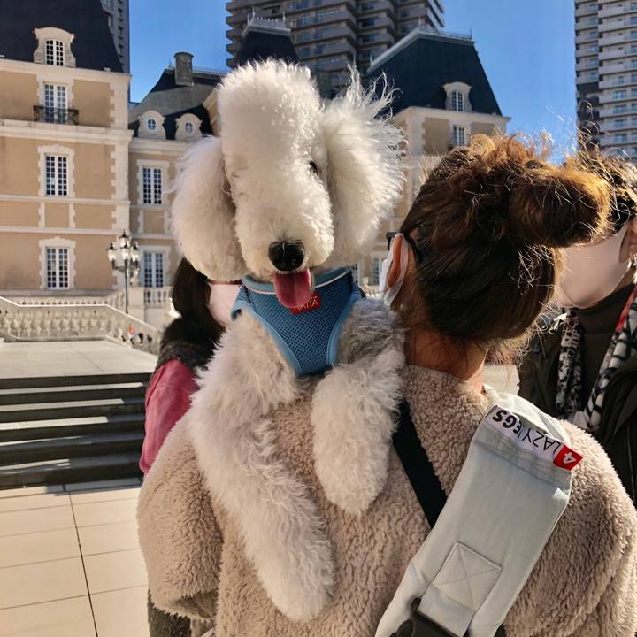 E518acf1 1ef8 4971 8d65 068f93400759 1605003441870