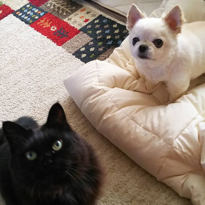 E518ae23 1c77 4d95 b101 21051cc95c6a 1577714218029