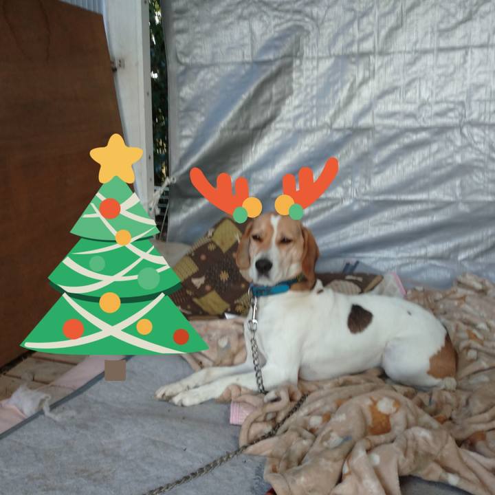 E518faea 58a9 42bc 968a fec3ea91461a 1608866796780