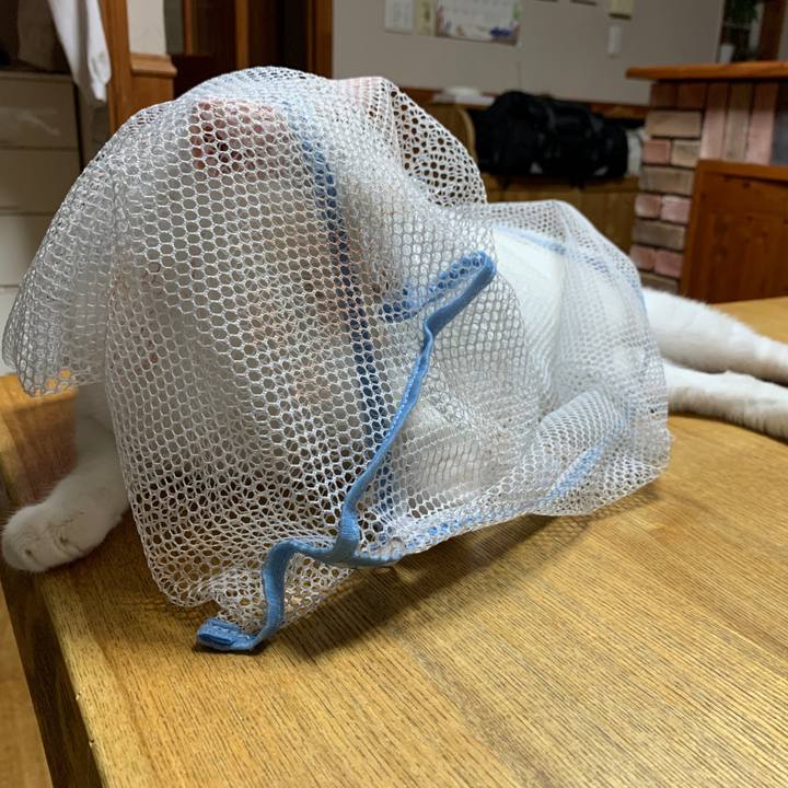 E51914c2 08c6 4f11 a494 1661db23ce11 1659445779921