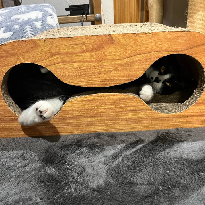 E51917ee 6636 4b89 bee8 f1366d11917d 1651399219445