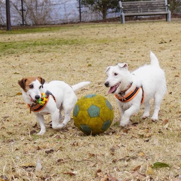 E51925f0 1c68 419e 830c 624d82d2d75e 1774405031050