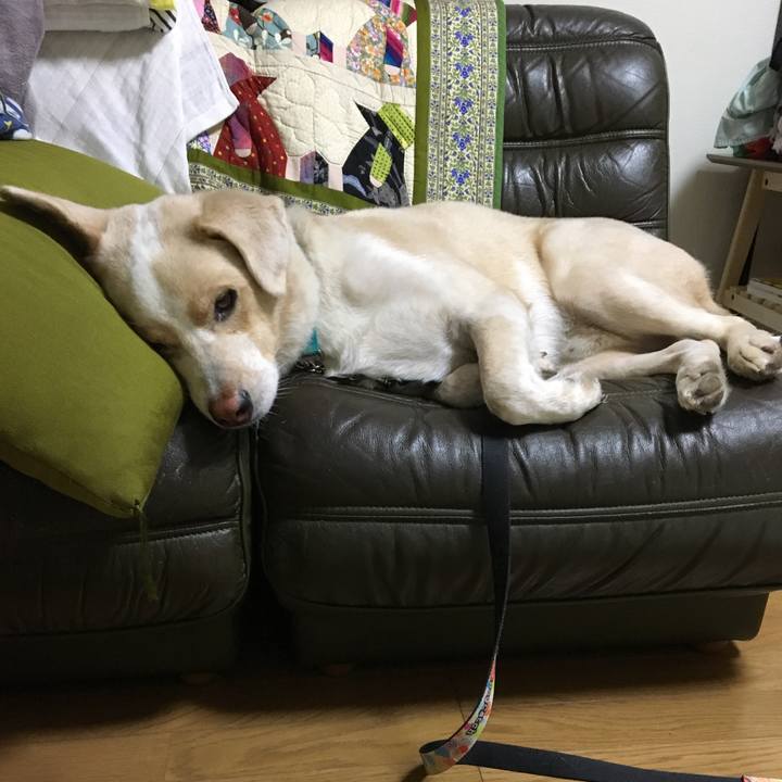 E51950f4 3d02 486e b4ba 11aa0feafcaf 1536853131255