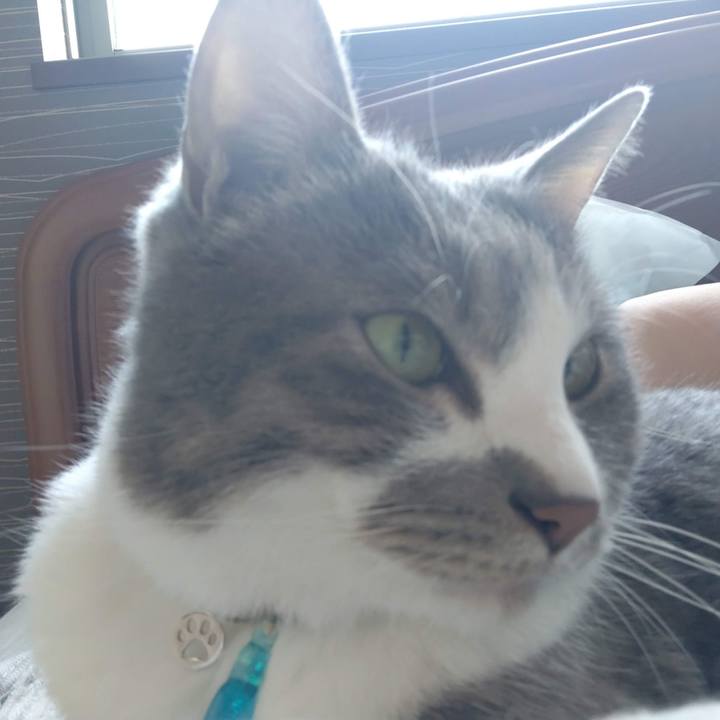 E519624f 8b03 4b3b aa5c 353a106a8e2b 1711847694312