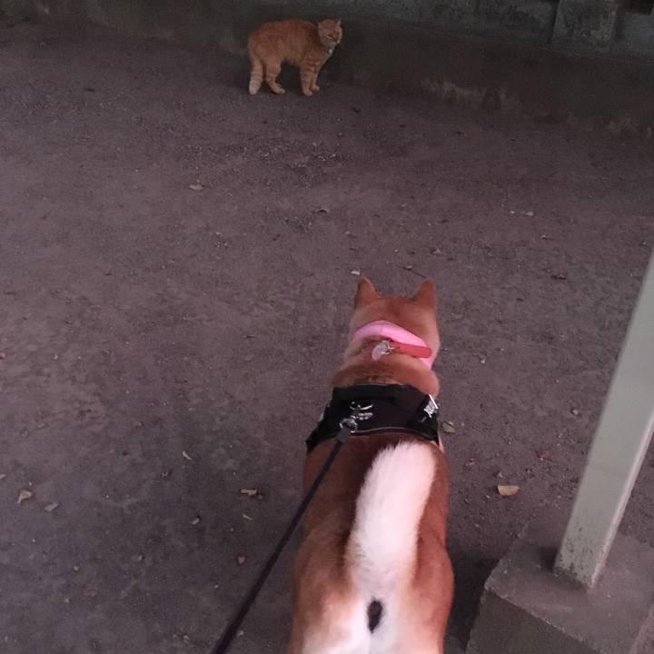 E5197084 918e 4cb6 a8f6 36ad47b0a57a 1613217221122