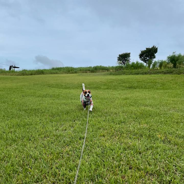 E51979b4 ef19 434d bd77 d38fe7a19e70 1628663106143