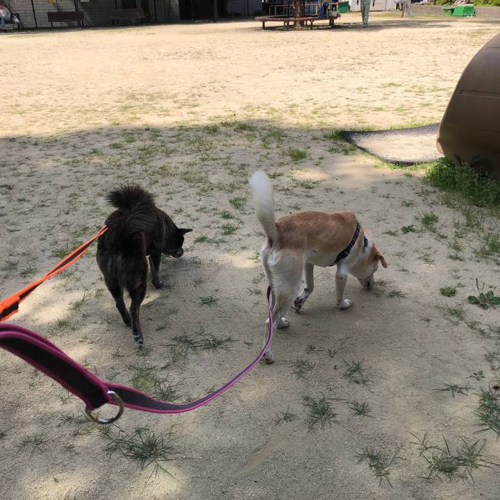 E519a7c4 d984 407e 8064 8e63a9557fe7 1629556203430