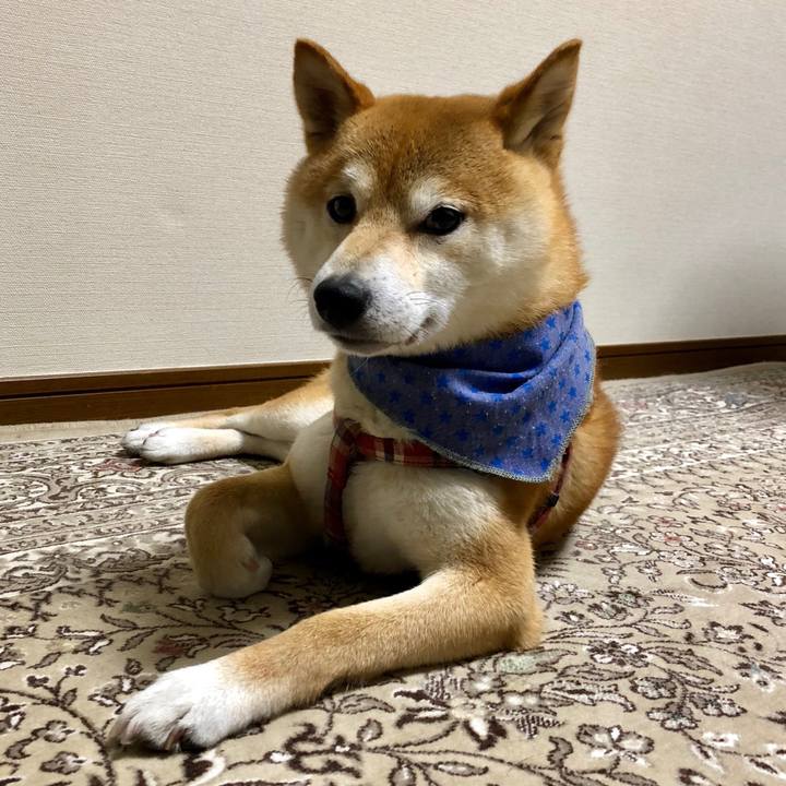 E519c80d 69eb 4d0f 861a beaae4295369 1529670651753