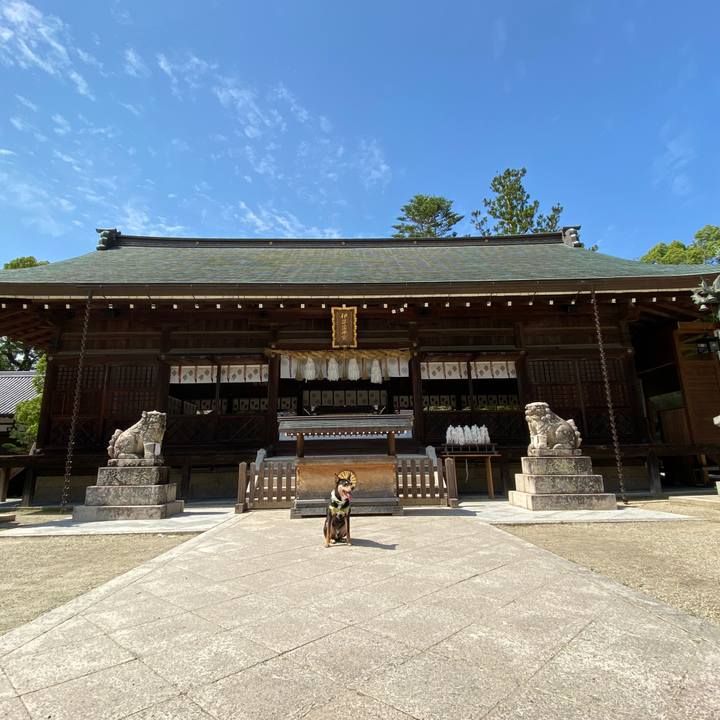 E519dfbc e5c0 40b1 a69b d3fc7cc8acdb 1624272697069