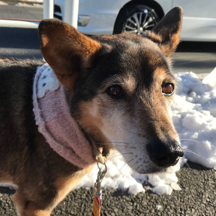 E51a0207 277d 40a1 b1e0 c6023cdbe803 1516859678113