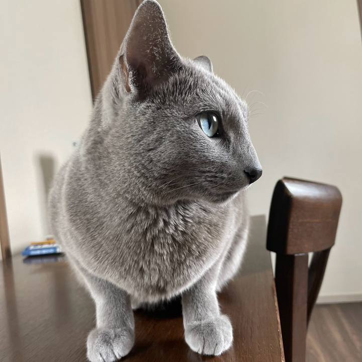 E51a21af 01b4 42c4 9176 3d05fa65260b 1737848740179