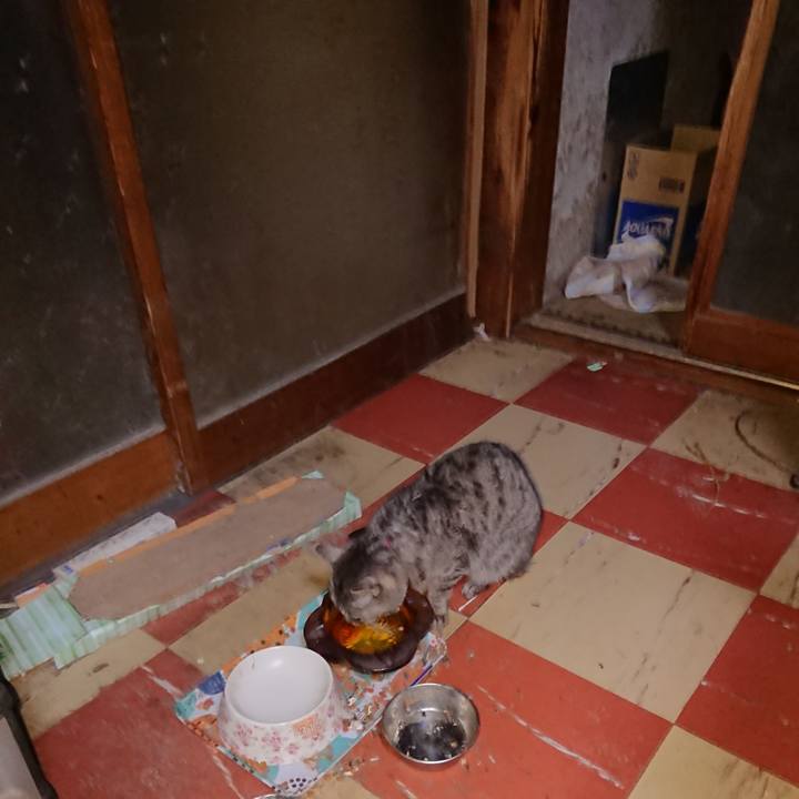 E51a38bf 0a1c 4fcb a01c b770ce6393b9 1580240991909