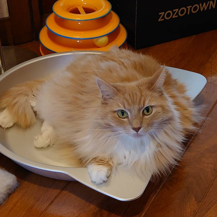 E51a3ea1 1871 4486 9128 1a8e138bc457 1629610719110