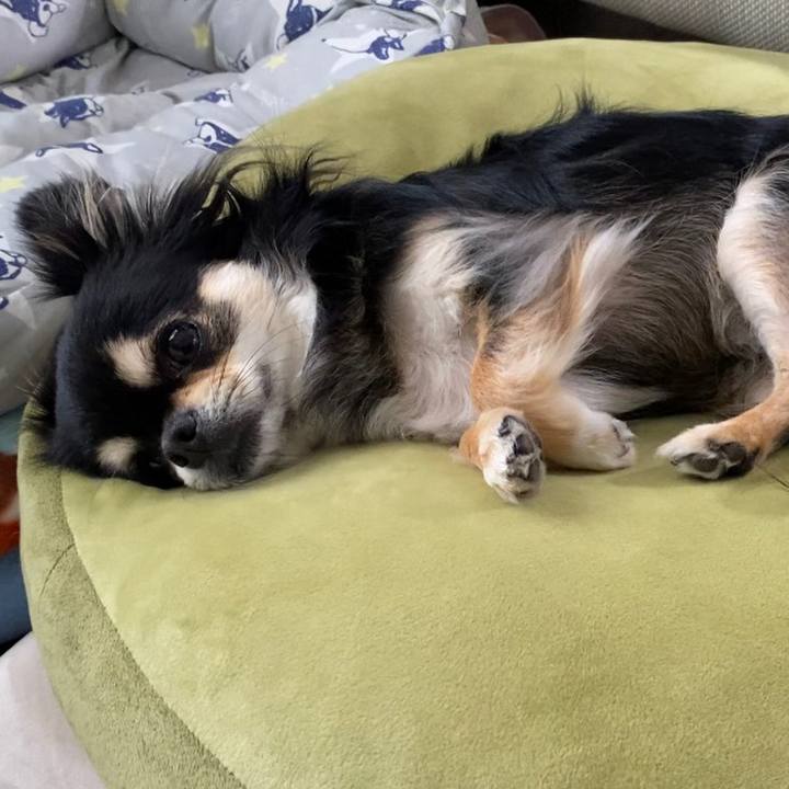 E51a6517 0bf0 4acb 9d3e 52015ad2badb 1622511017948