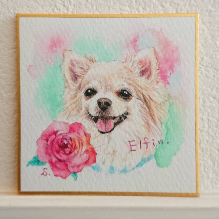 E51a8699 93d8 467a 9705 41501c1bbb08 1587284825854