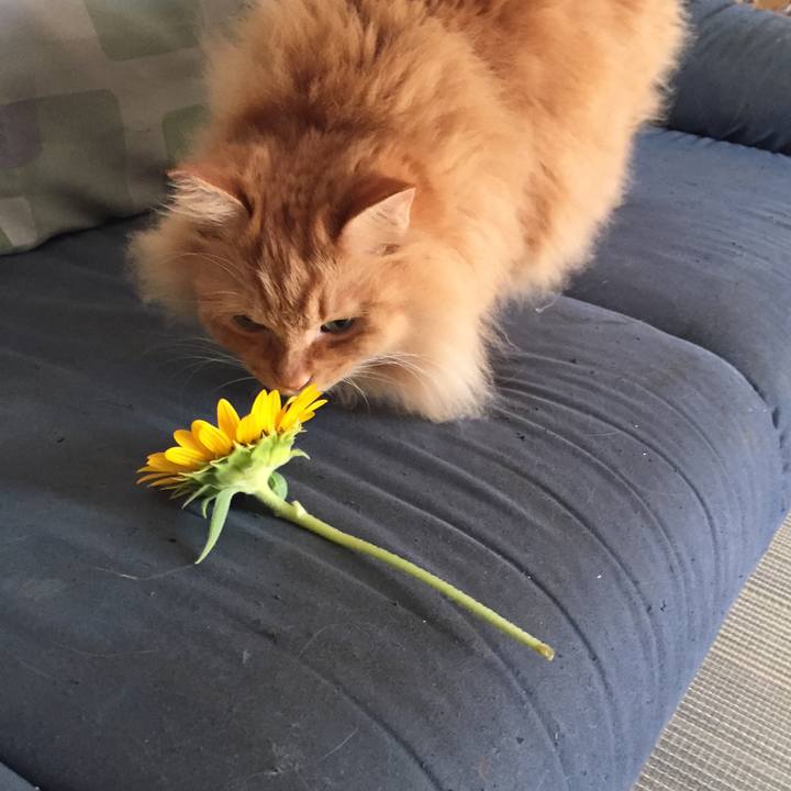 E51ab059 b5a9 4755 b774 18a13c0a0703 1535584444932