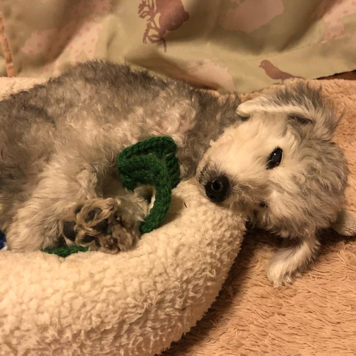 E51abd06 51e2 4d9c 9bca 2ab3068edb5b 1606833709614