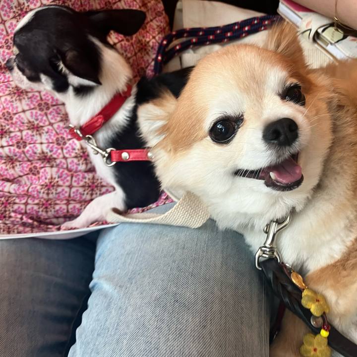 E51ac513 146d 4876 b5ce d957e831cea6 1753099671045