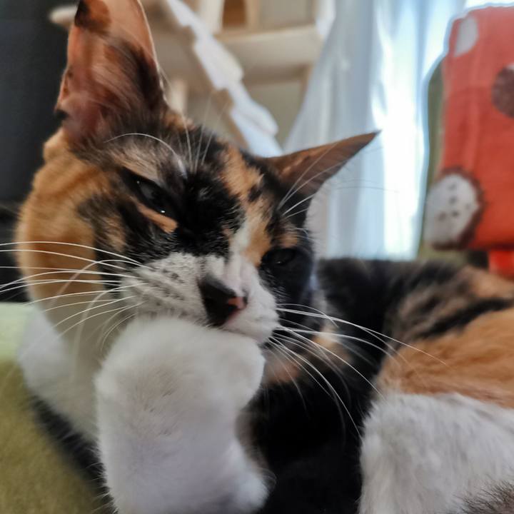 E51ae3b7 97fd 4fc0 a4d4 f0e28b7a9987 1634219450036