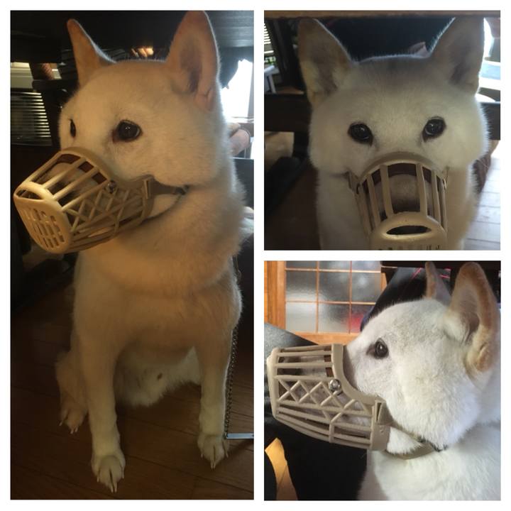 E51ae682 45dc 4ce0 b9fa d18116724535 1546412144318