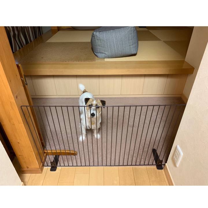 E51afede 3aa7 4ca4 9d0e 9e6ce5de2a9b 1590059549853