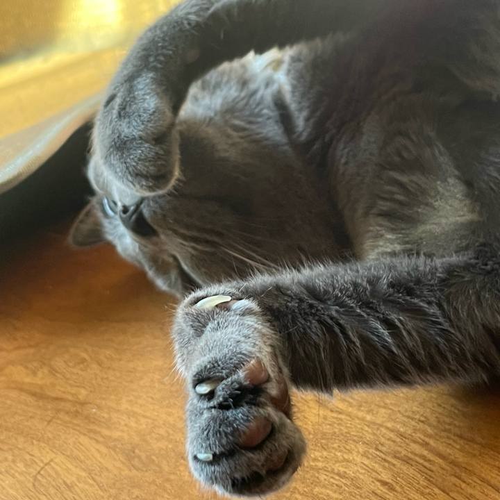 E51b0063 e1db 495c 94bb 69235262f1ed 1726314312279