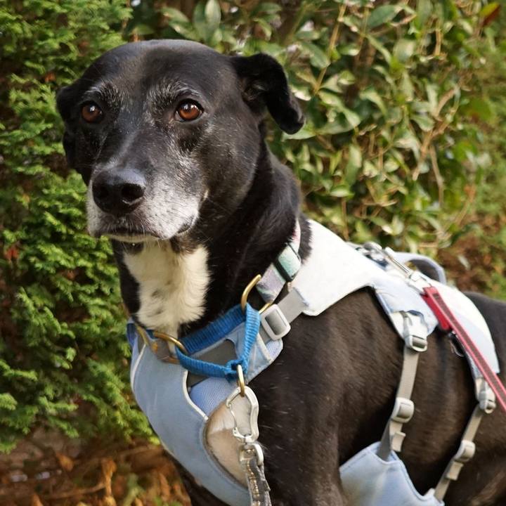 E51b01cf d273 482e 9b2f 4d7266345c19 1756857215151