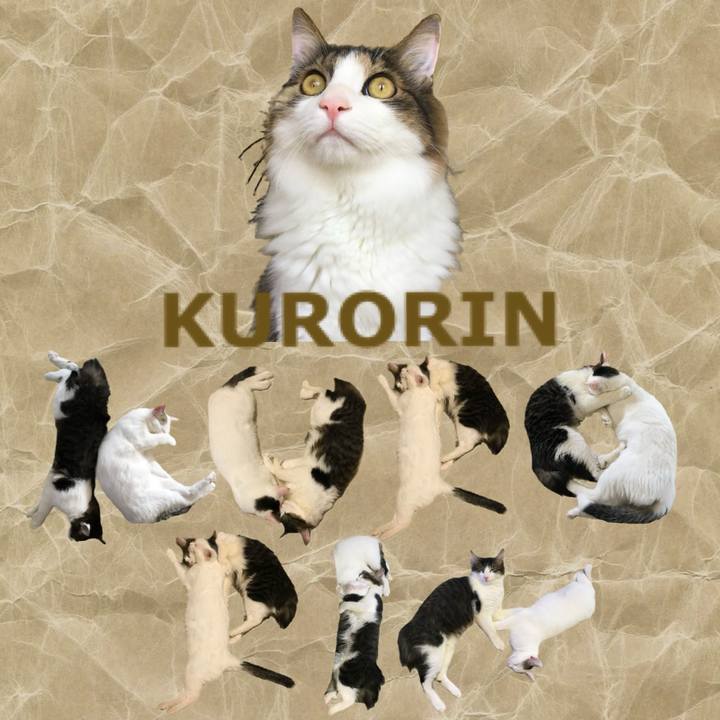 E51b0c8e 35a9 4cda 8da4 c29095b56098 1667601310093