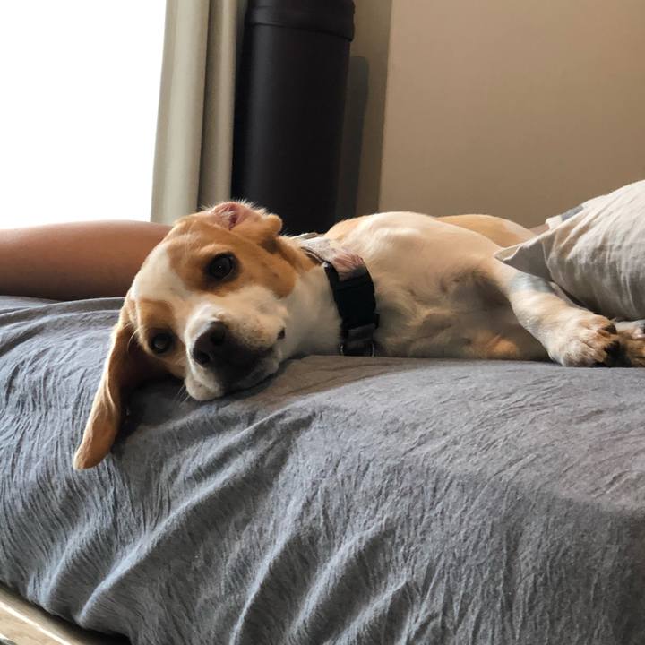 E51b0def 4752 4a68 a145 27cdaa2c4819 1570340775722