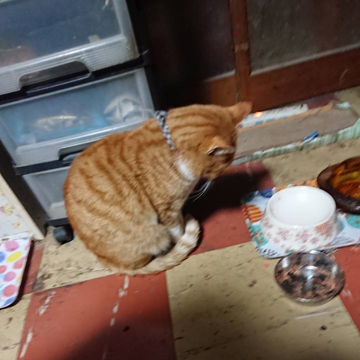 E51b2878 bfd1 40a0 bd67 fac1061b3928 1574366122566